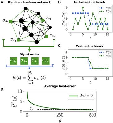 Modeling the Role of the Microbiome in Evolution